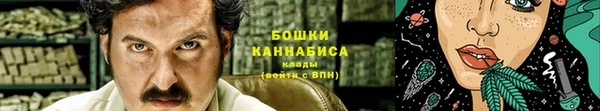 apvp Арсеньев