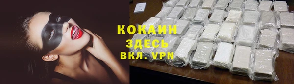 прущие грибы Армянск