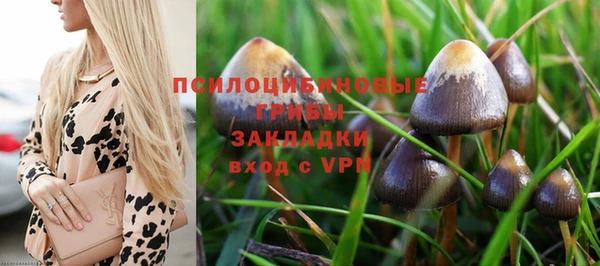 apvp Арсеньев