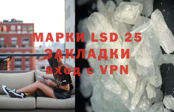 прущие грибы Армянск