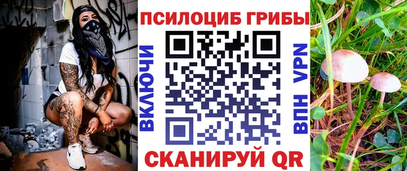 Галлюциногенные грибы Cubensis  darknet наркотические препараты  Фролово 